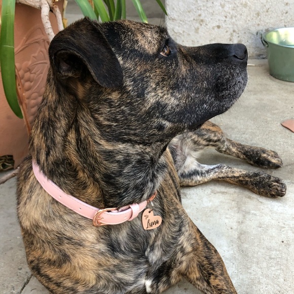 Meet Your Seller! 💀 - Picture 4 of 8